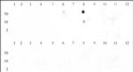 Histone H3K9me3 Antibody in Dot Blot (DB)