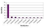 Histone H3K9me2 Antibody in ELISA (ELISA)