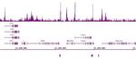 Ikaros Antibody in ChIP-Sequencing (ChIP-Seq)