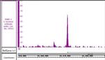 PARP-1 C-terminal Antibody in ChIP Assay (ChIP)