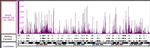 Ring1B Antibody in ChIP-Sequencing (ChIP-Seq)