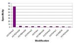 Histone H3K9me2 Antibody in ELISA (ELISA)