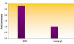 AIB1 / SRC-3 Antibody in ChIP Assay (ChIP)