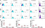 STRO-1 Antibody in Flow Cytometry (Flow)