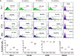 STRO-1 Antibody in Flow Cytometry (Flow)