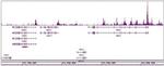 Histone H4ac (pan-acetyl) Antibody in ChIP-Sequencing (ChIP-Seq)