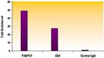 Histone H4K12ac Antibody in ChIP Assay (ChIP)