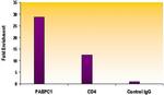 Histone H4K16ac Antibody in ChIP Assay (ChIP)