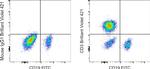 CD3 Antibody in Flow Cytometry (Flow)