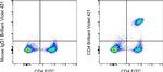 CD4 Antibody in Flow Cytometry (Flow)