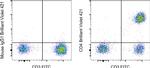 CD4 Antibody in Flow Cytometry (Flow)