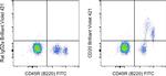 CD20 Antibody in Flow Cytometry (Flow)