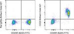 CD20 Antibody in Flow Cytometry (Flow)