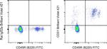 CD31 (PECAM-1) Antibody in Flow Cytometry (Flow)