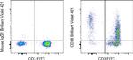 CD38 Antibody in Flow Cytometry (Flow)