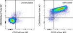 CD69 Antibody in Flow Cytometry (Flow)