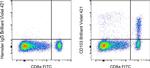 CD103 (Integrin alpha E) Antibody in Flow Cytometry (Flow)