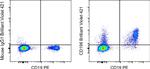 CD196 (CCR6) Antibody in Flow Cytometry (Flow)