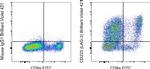 CD223 (LAG-3) Antibody in Flow Cytometry (Flow)