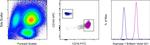 Arginase 1 Antibody in Flow Cytometry (Flow)