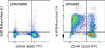 Ki-67 Antibody in Flow Cytometry (Flow)