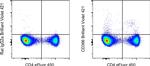 CD366 (TIM3) Antibody in Flow Cytometry (Flow)