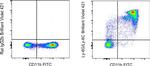 Ly-6G/Ly-6C Antibody in Flow Cytometry (Flow)