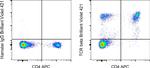 TCR beta Antibody in Flow Cytometry (Flow)