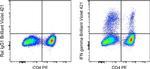 IFN gamma Antibody in Flow Cytometry (Flow)