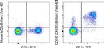 CD185 (CXCR5) Antibody in Flow Cytometry (Flow)