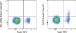 TIGIT Antibody in Flow Cytometry (Flow)