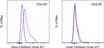 Gata-3 Antibody in Flow Cytometry (Flow)