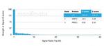 Lactotransferrin/Lactoferrin/LTF Antibody in Peptide array (ARRAY)