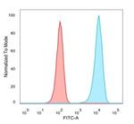 Lactotransferrin/Lactoferrin/LTF Antibody in Flow Cytometry (Flow)