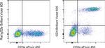 CD4 Antibody in Flow Cytometry (Flow)