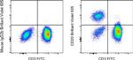 CD20 Antibody in Flow Cytometry (Flow)