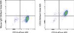 CD33 Antibody in Flow Cytometry (Flow)