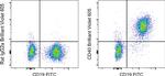 CD40 Antibody in Flow Cytometry (Flow)