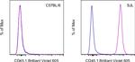 CD45.1 Antibody in Flow Cytometry (Flow)