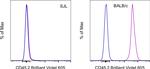 CD45.2 Antibody in Flow Cytometry (Flow)