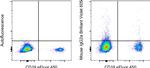 Mouse IgG2a kappa Isotype Control in Flow Cytometry (Flow)