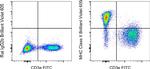 MHC Class II (I-A/I-E) Antibody in Flow Cytometry (Flow)