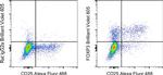 FOXP3 Antibody in Flow Cytometry (Flow)