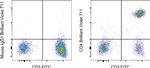 CD4 Antibody in Flow Cytometry (Flow)