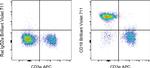 CD19 Antibody in Flow Cytometry (Flow)