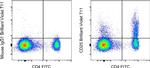 CD25 Antibody in Flow Cytometry (Flow)