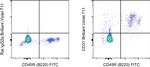 CD31 (PECAM-1) Antibody in Flow Cytometry (Flow)