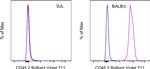 CD45.2 Antibody in Flow Cytometry (Flow)