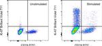 Ki-67 Antibody in Flow Cytometry (Flow)