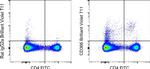 CD366 (TIM3) Antibody in Flow Cytometry (Flow)